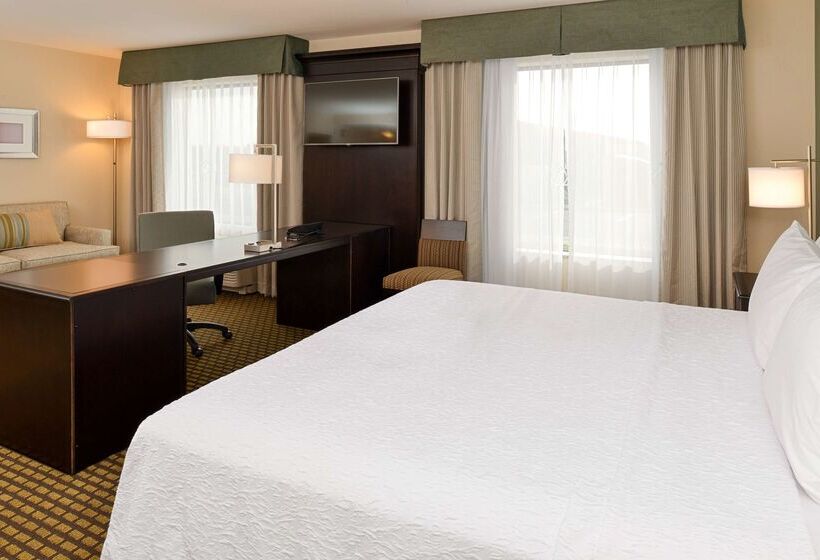 酒店 Hampton Inn & Suites Douglas