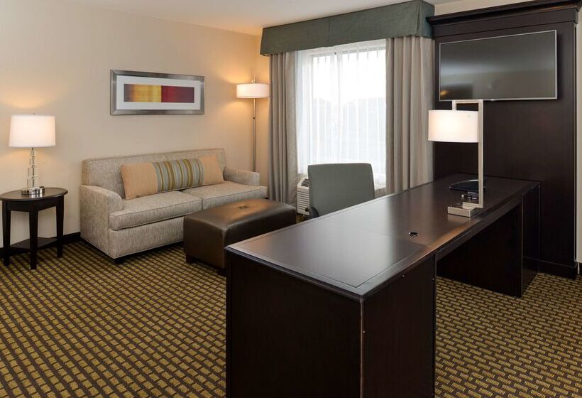 酒店 Hampton Inn & Suites Douglas