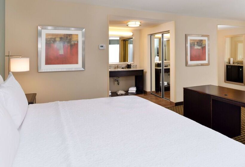 酒店 Hampton Inn & Suites Douglas