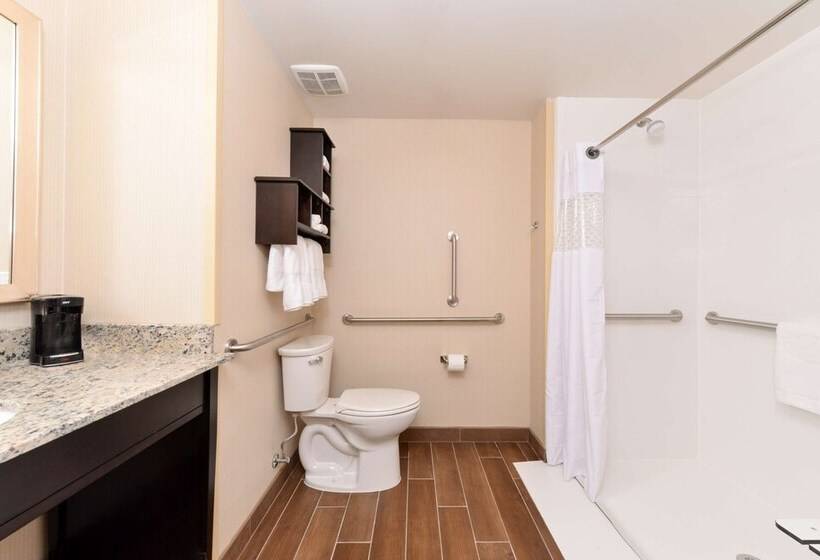 酒店 Hampton Inn & Suites Douglas