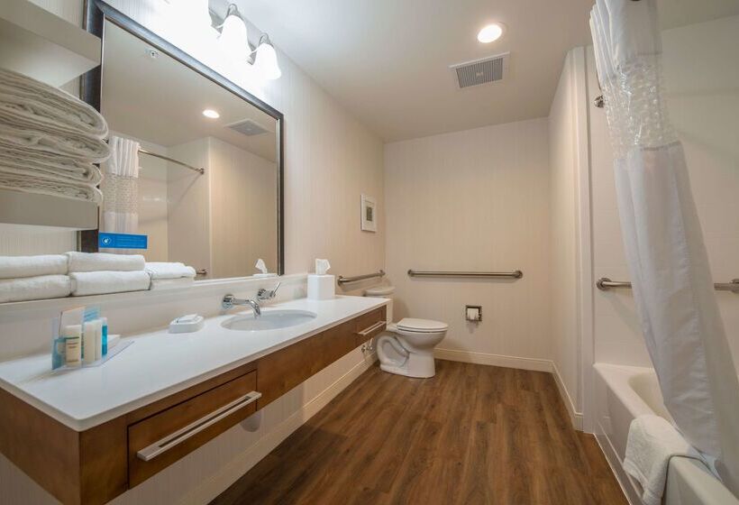 בית מלון כפרי Hampton Inn Waynesboro