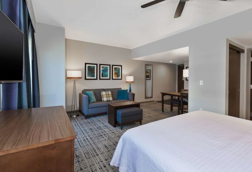 فندق Homewood Suites By Hilton Pittsburgh Downtown