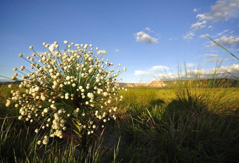 בית מלון כפרי Jalapão