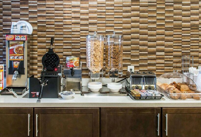 בית מלון כפרי Mainstay Suites Cotulla