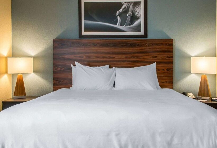 בית מלון כפרי Mainstay Suites Cotulla