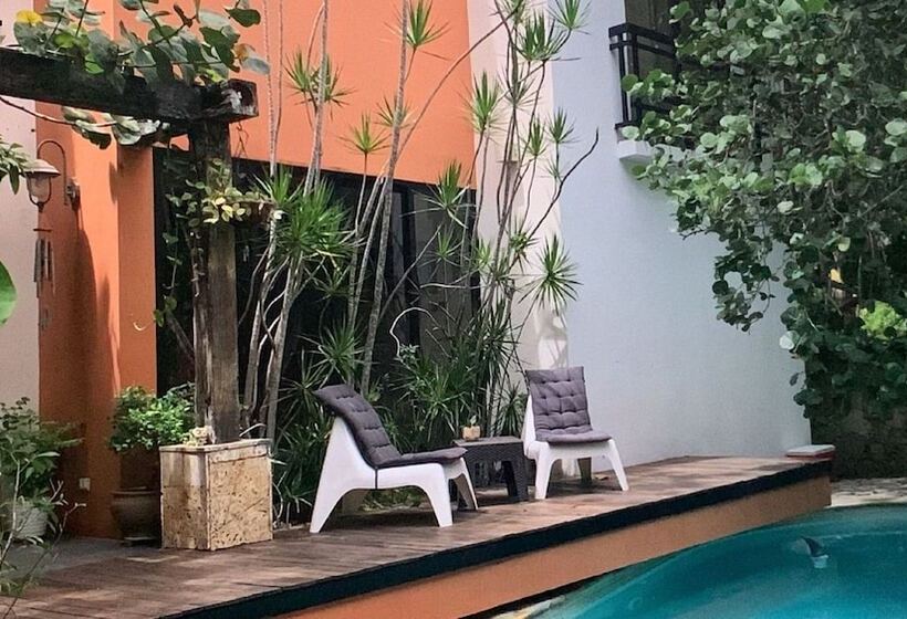 בית מלון כפרי Manaya Bed & Breakfast