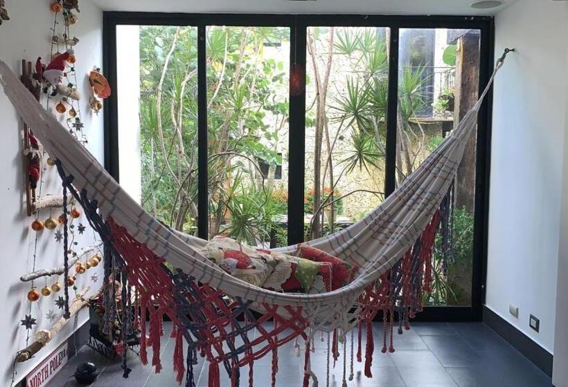 בית מלון כפרי Manaya Bed & Breakfast