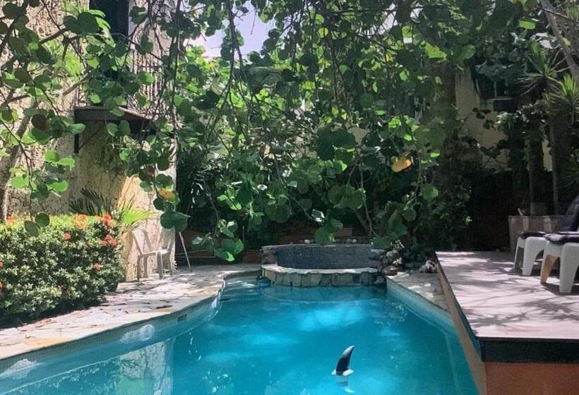 Отель Manaya Bed & Breakfast