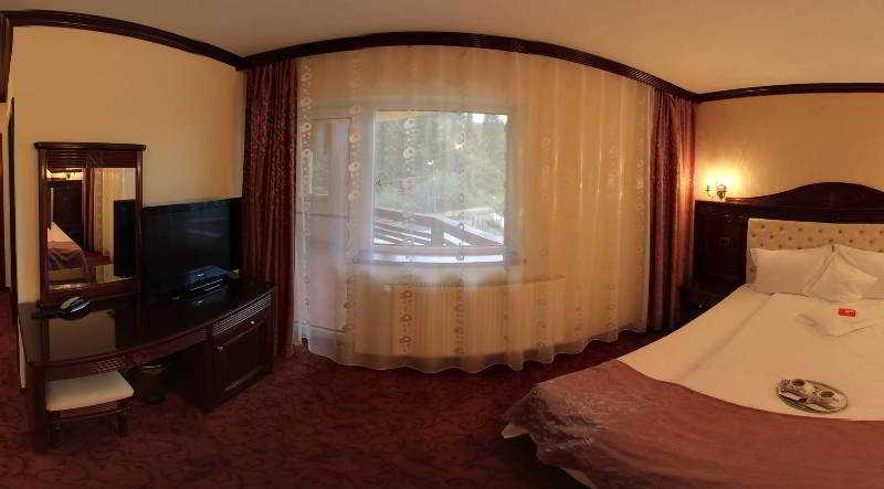 בית מלון כפרי Pensiunea Carmen Silvae