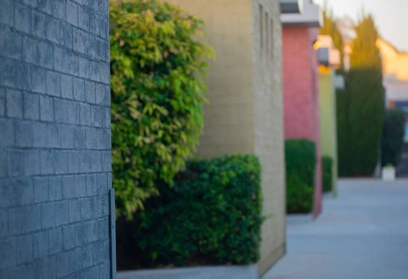 בית מלון כפרי Portman House