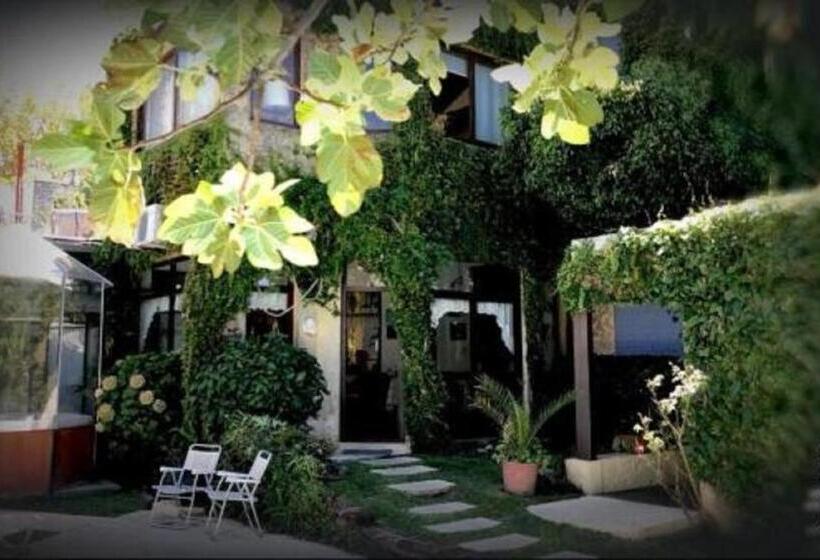 هتل Posada Del Angel