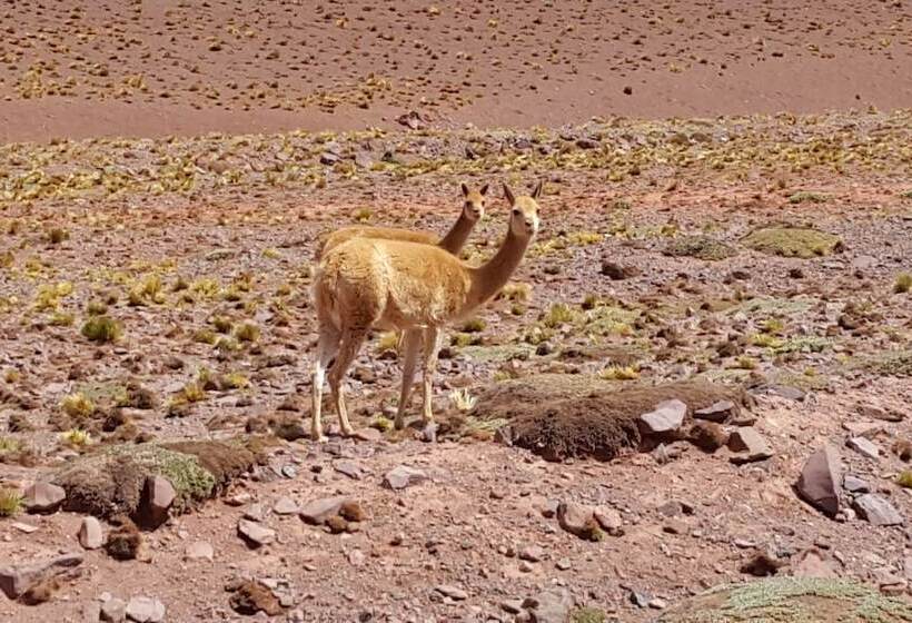 Отель Posada Del Olivo