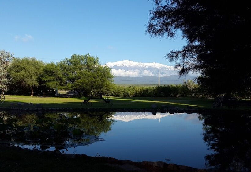 Отель Posada Del Olivo