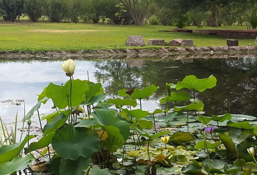 Отель Posada Del Olivo