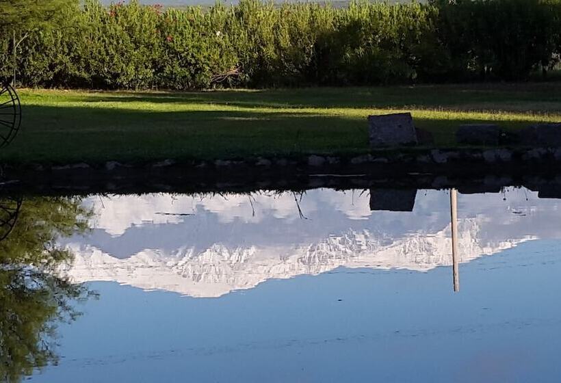 Отель Posada Del Olivo