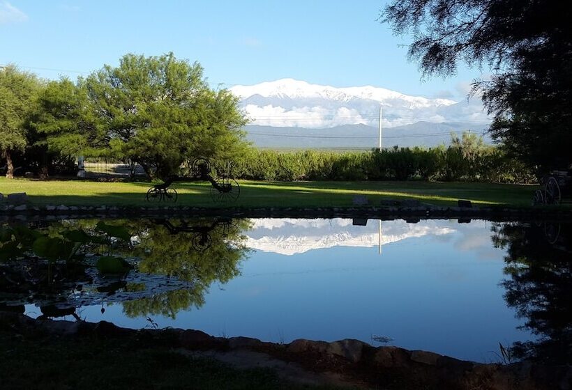 Отель Posada Del Olivo