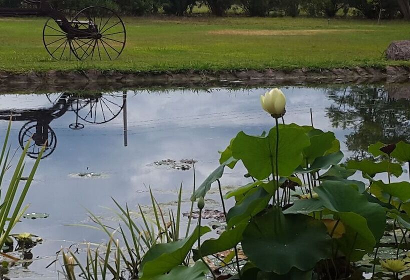 Отель Posada Del Olivo