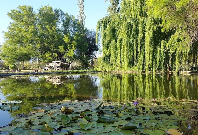 Отель Posada Del Olivo