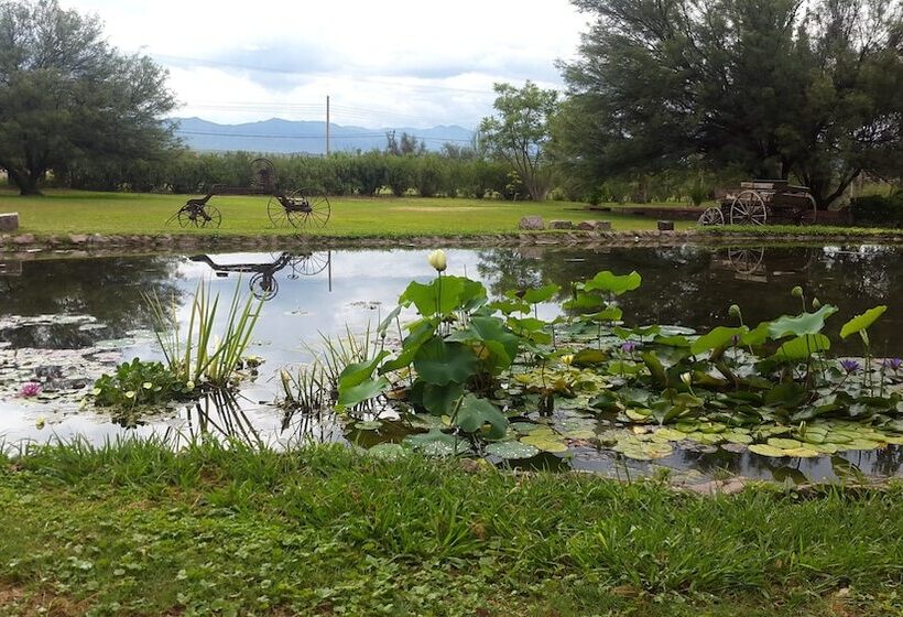 Отель Posada Del Olivo