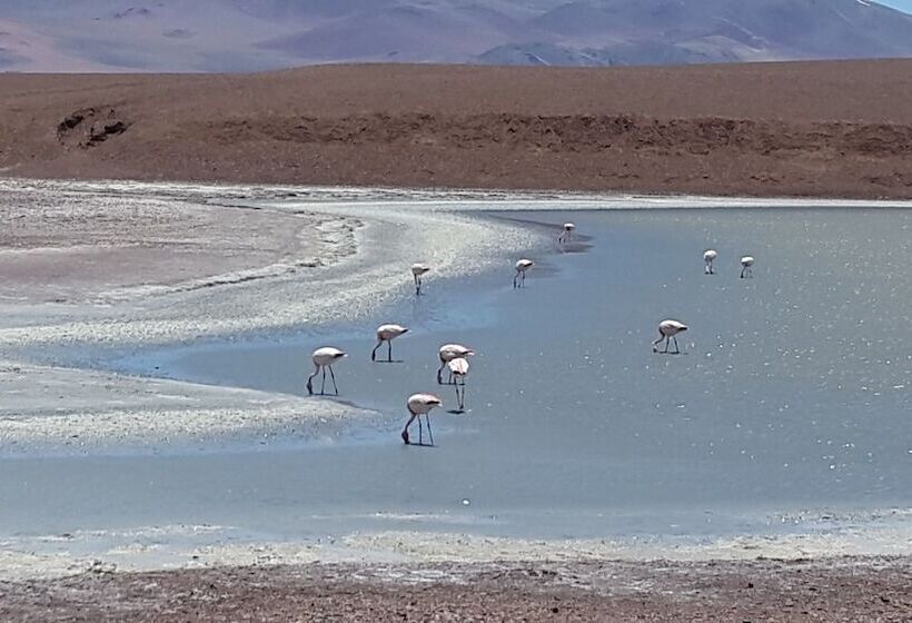 Отель Posada Del Olivo