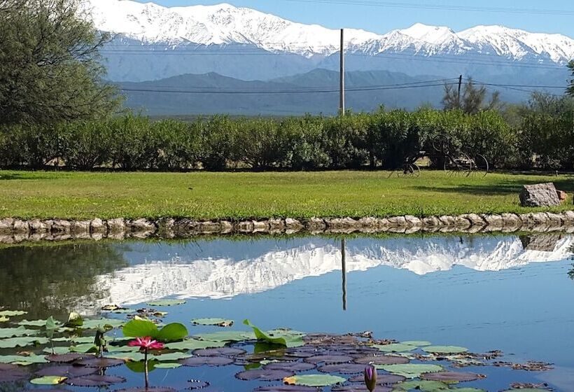 Отель Posada Del Olivo