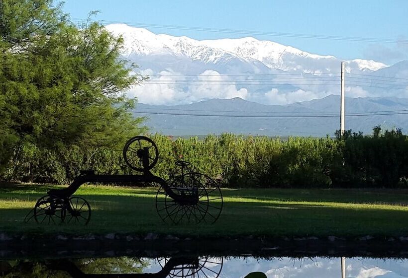 Отель Posada Del Olivo