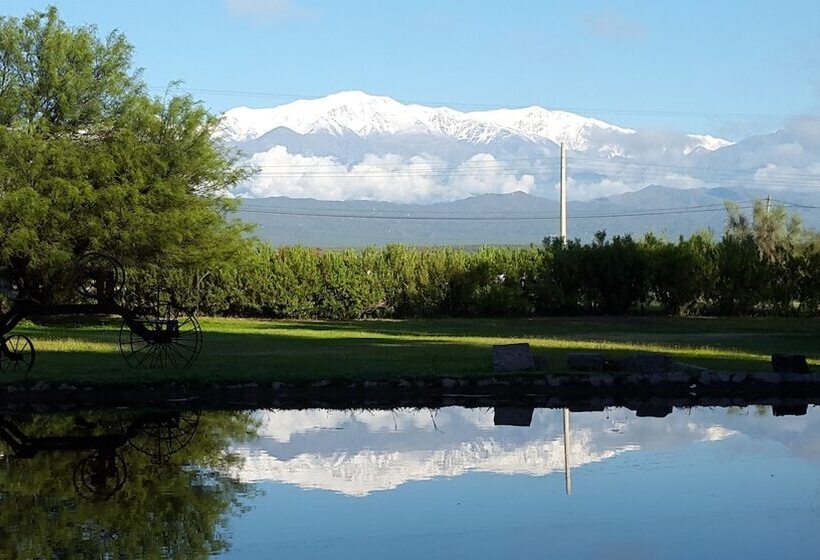 Отель Posada Del Olivo