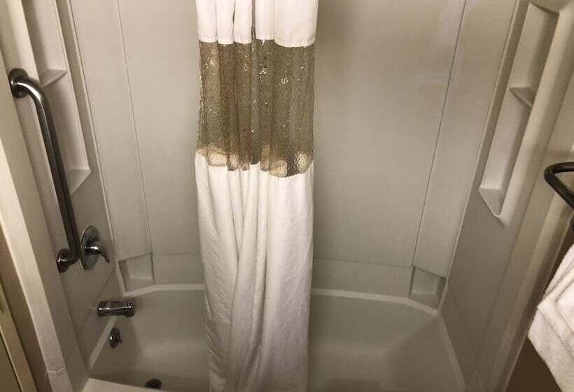 ホテル Rodeway Inn Joint Base Andrews Area