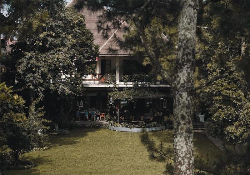 Fotos del hotel Sandalwood Boutique:  8