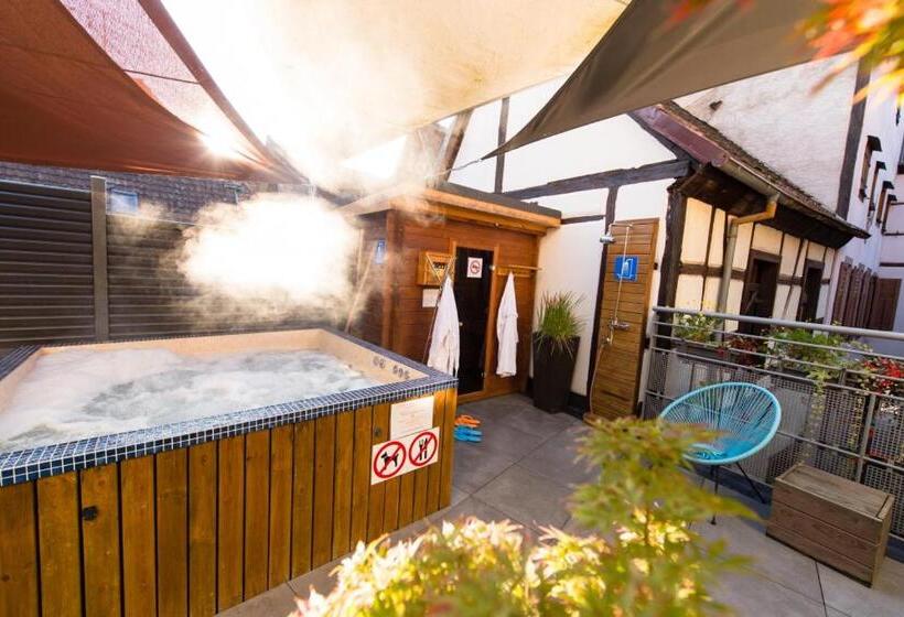 酒店 Spa Au Cheval Blanc