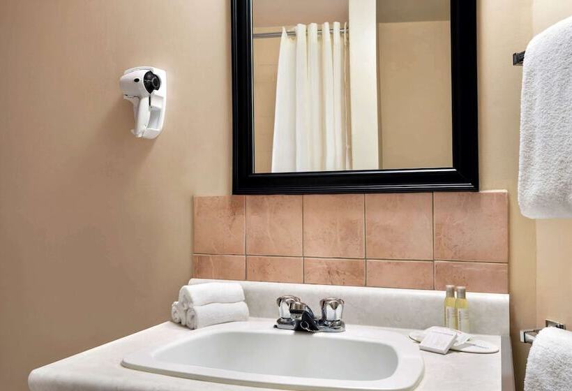 فندق Thriftlodge Edmonton