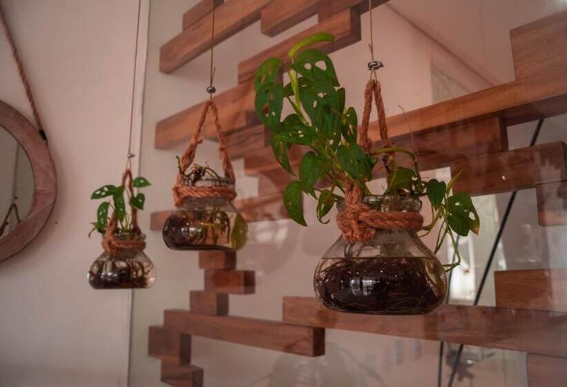 Отель Unión Plaza Moteria