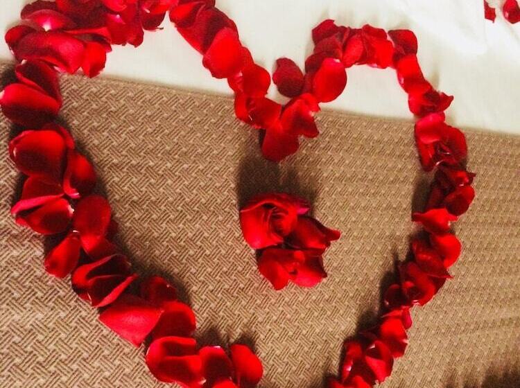 Отель Villa Premium