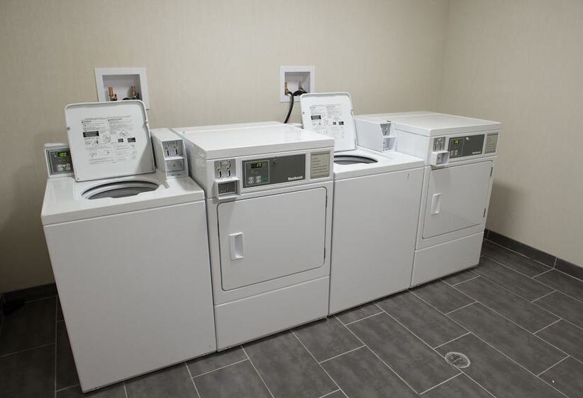 호텔 Western Star All Suites Signature