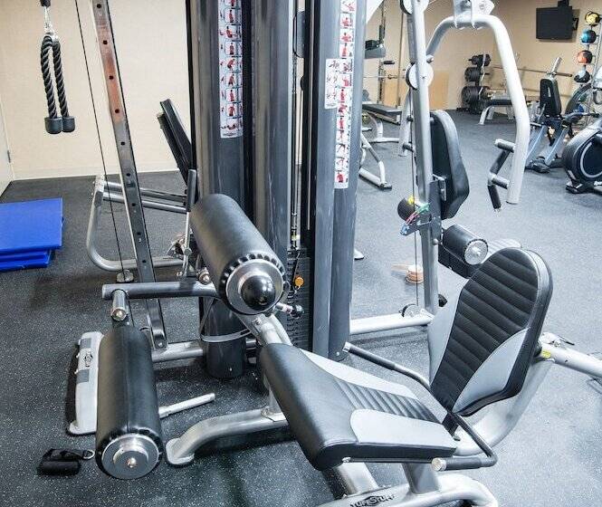 호텔 Western Star All Suites Signature