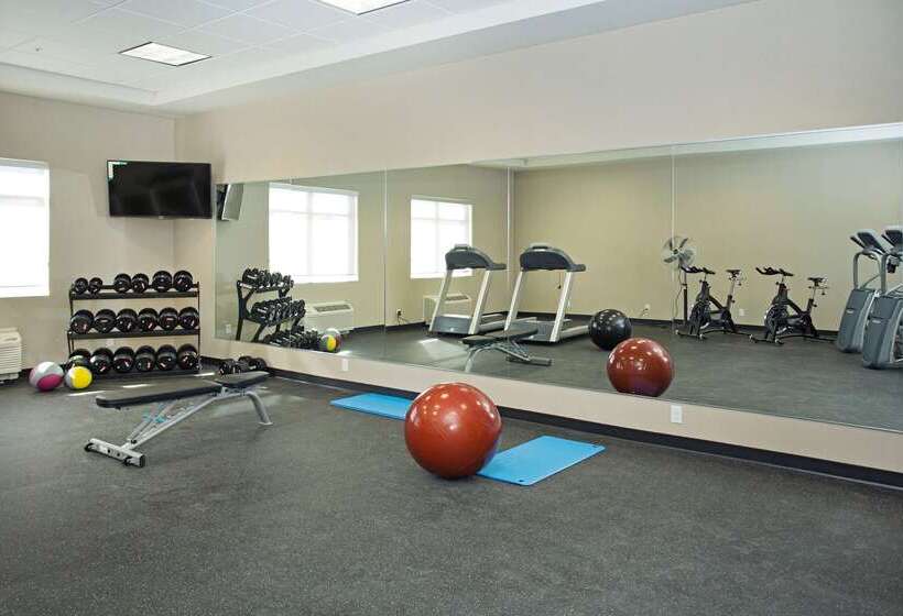 酒店 Wingate By Wyndham Calgary Airport