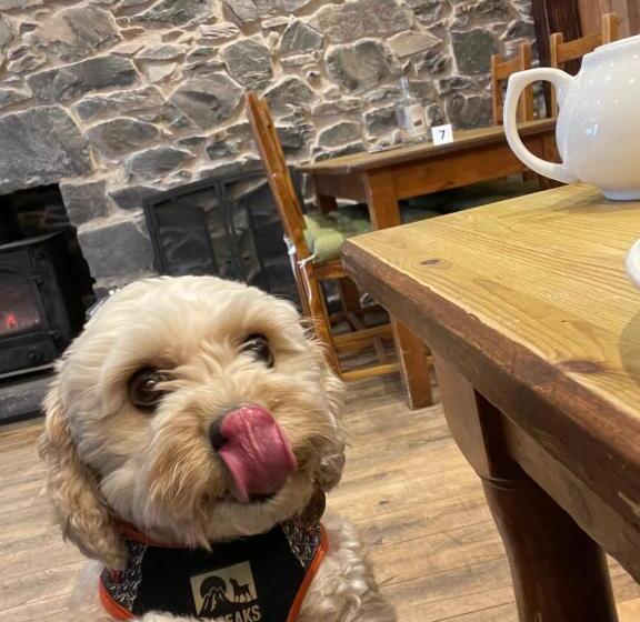 펜션 Glenarroch & Witchwood