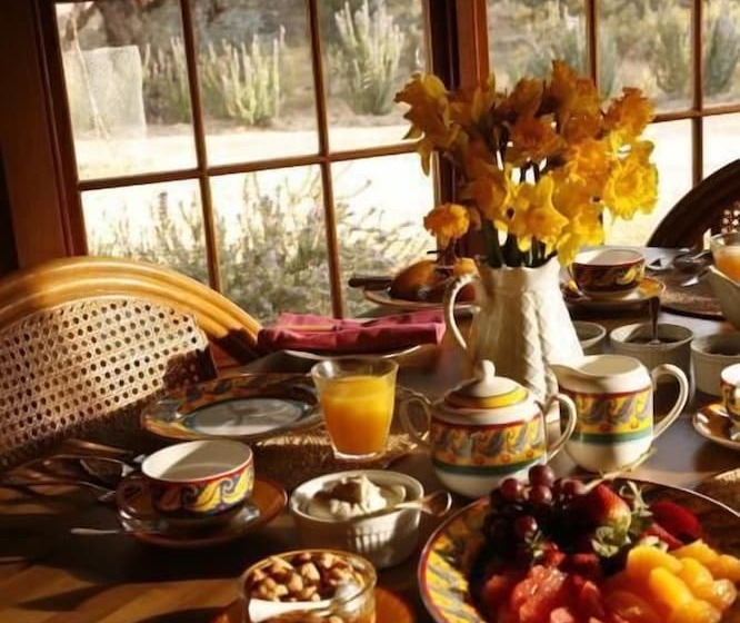 פנסיון Wildwood Guesthouse