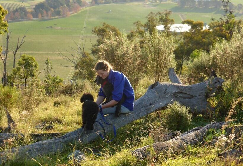 פנסיון Wildwood Guesthouse