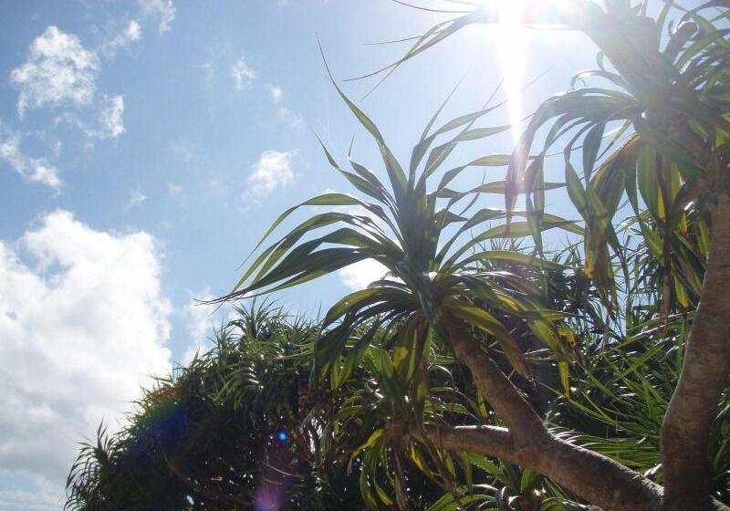 Petit Resort Native Sea Amami