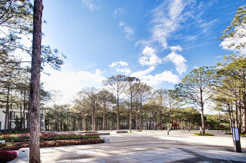 Terracotta Hotel & Resort Dalat