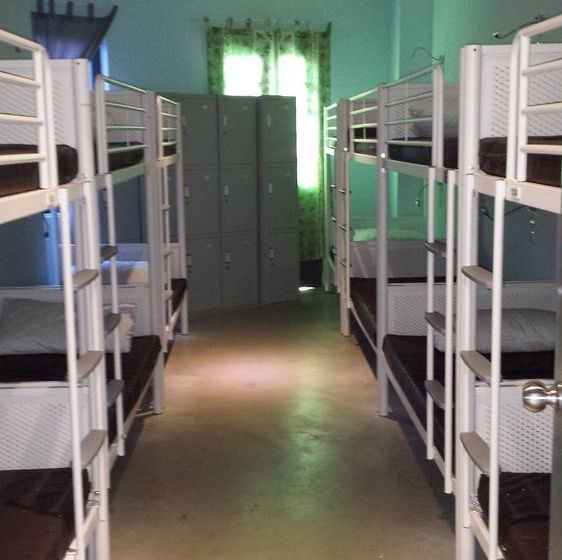 Travellers Loft @ Lavender - Hostel