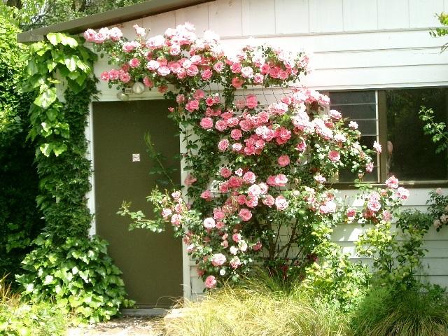 Aultmore Hollow Bed & Breakfast