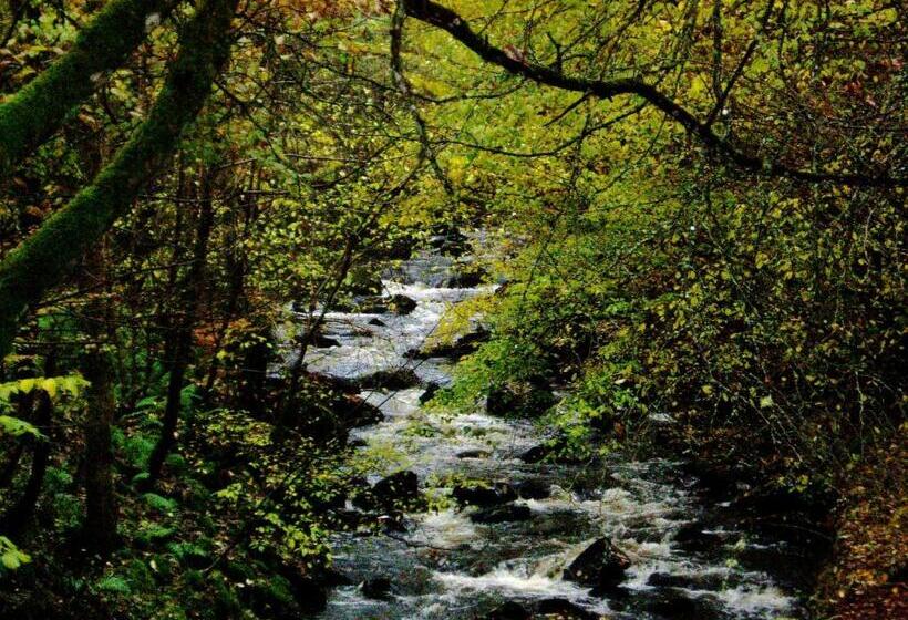 مبيت وإفطار Brae House