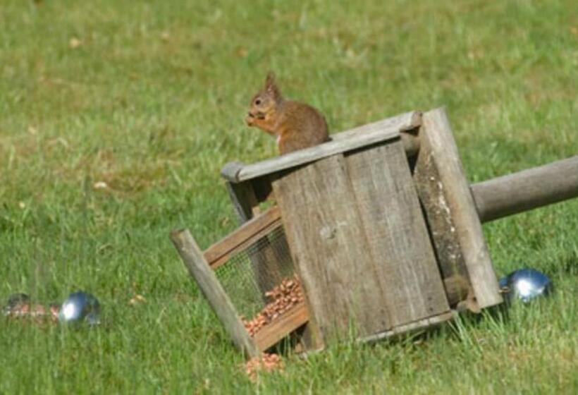 مبيت وإفطار Brae House