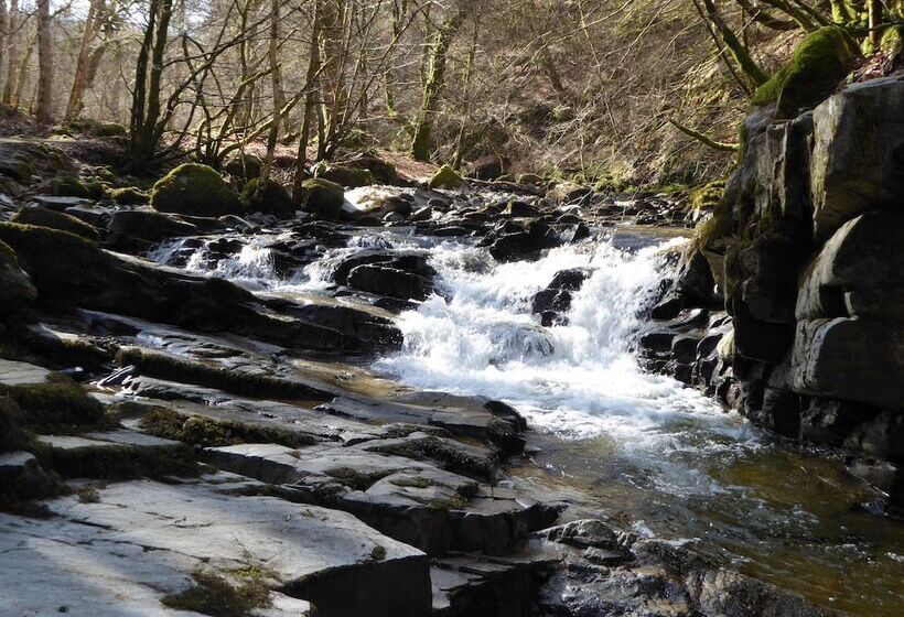 مبيت وإفطار Brae House