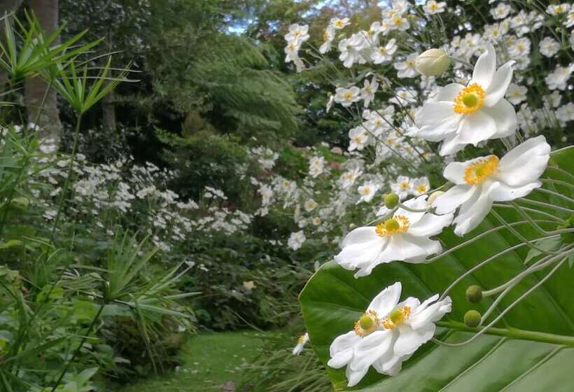 צימר Country Villa Estate