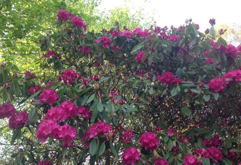 ベッドアンドブレックファースト Cruachan House