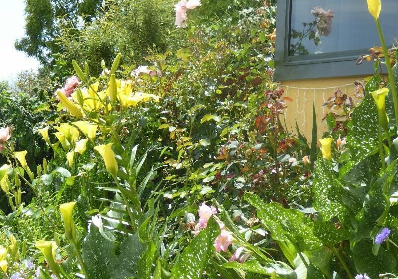 צימר Hazelwood Mapua