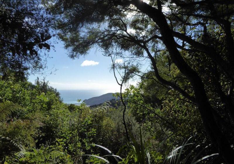 צימר Hazelwood Mapua